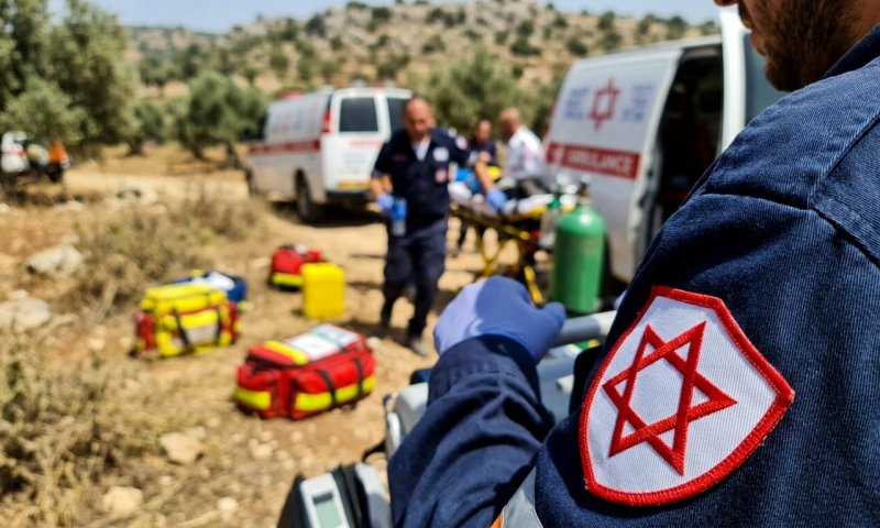 גבר בן 60 וצעיר בן 18 הוכשו על ידי נחשים בהפרש של דקות