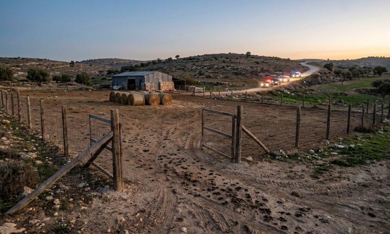 עדר צאן נגנב מחוות צור לבבי, החשד: הוברח לסילוואד