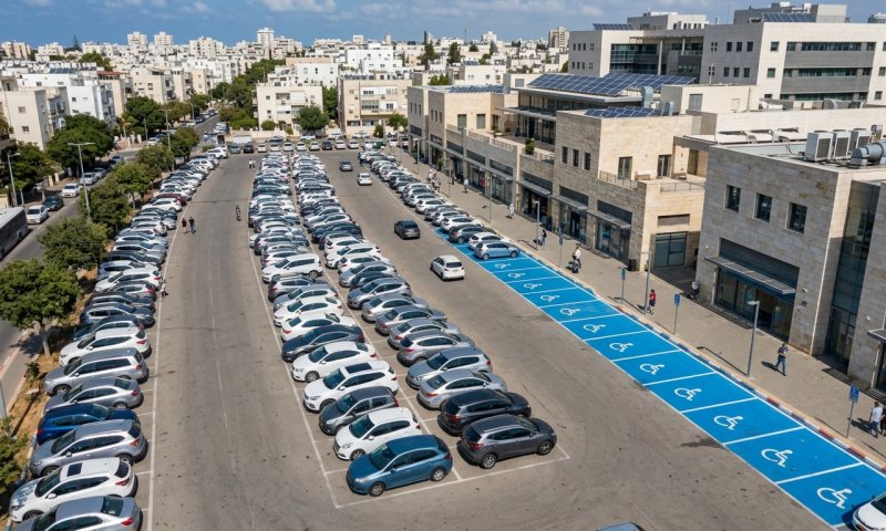 1 מכל 6 מכוניות בישראל נוסעת עם תו נכה - ומבקר המדינה מאשים