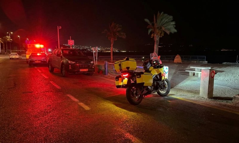 תנים תקפו תשעה נופשים בחוף דוגה בכינרת - ארבעה פונו לבית החולים