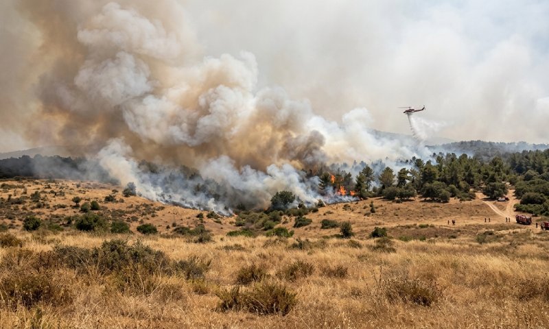 שריפה חמורה ביער בית קשת: 9 צוותי כיבוי ומטוסים נלחמים בלהבות
