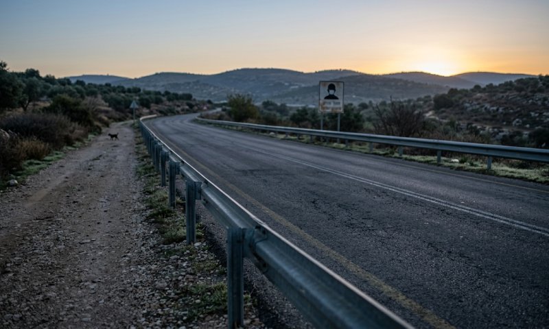 משרד הבריאות מזהיר: גור כלבים נגוע בכלבת אותר ליד נווה צוף